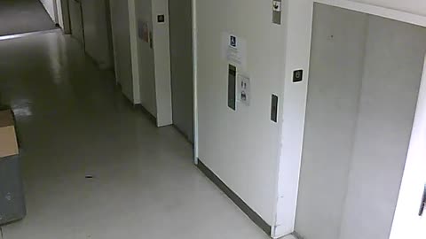 3904PSQB06FreightLobbyRear_2021-01-06_19h40min01s090ms.mp4