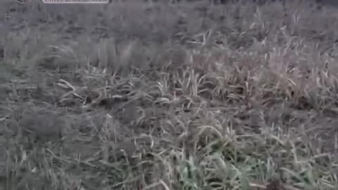 Two Ukrainian Tanks Get Stuck in the Mud