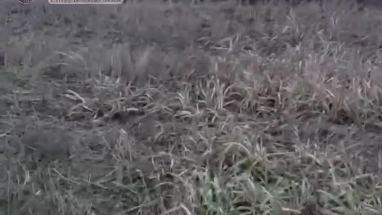 Two Ukrainian Tanks Get Stuck in the Mud