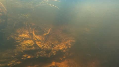 Underwater Adventure