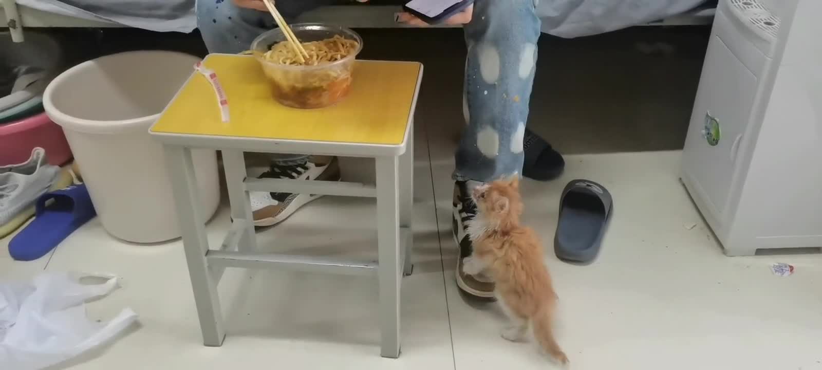 He was here a minute ago, and he saw someone eating