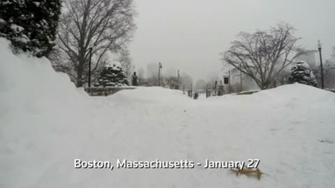 Boston - a blizzard of activity