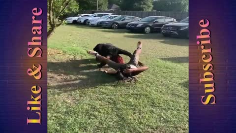 Real Life WWE😂, WATCH TIL END