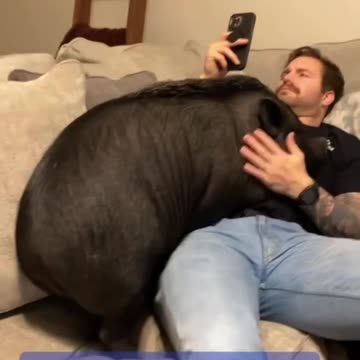 Thanksgiving in reverse soon 🤣