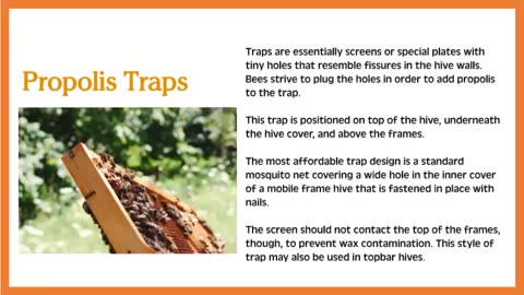 Using a Propolis Trap