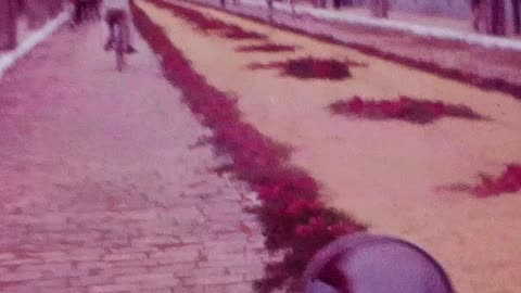 1980 Corpus Christ