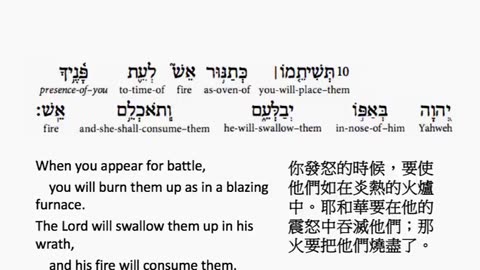 psalm 21 in hebrew _ salmo 21 en hebreo