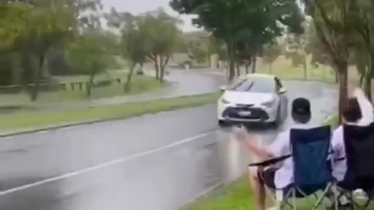 RINOS JUST HAVE A DAY AT THEIR BEACH!