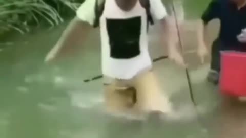 This is a beautiful and charming water-dwelling species