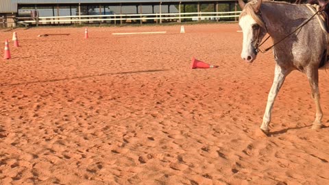 Shante not listening today, beginner western