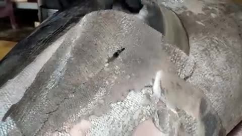 Amazing cutting of Giant fish.