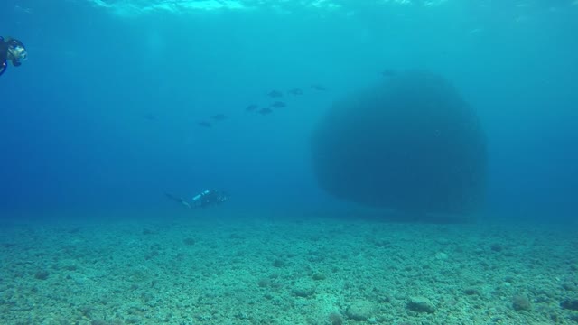 Underwater world:)