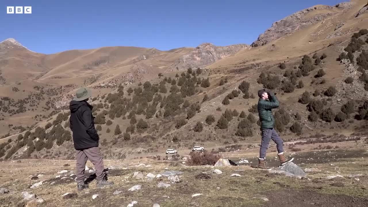 Chasing the Rare Snow Leopard I Behind the Scenes of Frozen Planet II