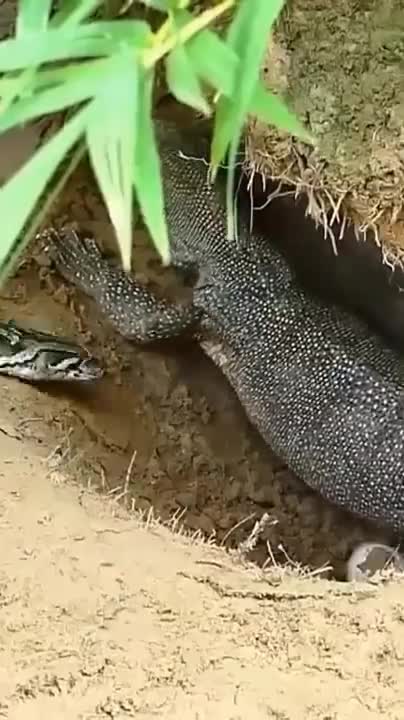 Messed with the wrong