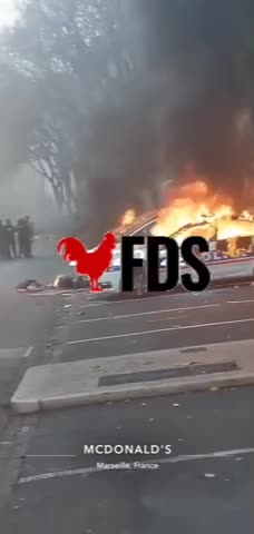 Row of police cars destroyed outside station in Marseille by Kurds this Christmas Eve