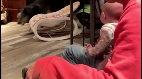 funniest babies laugh#comedyvideo