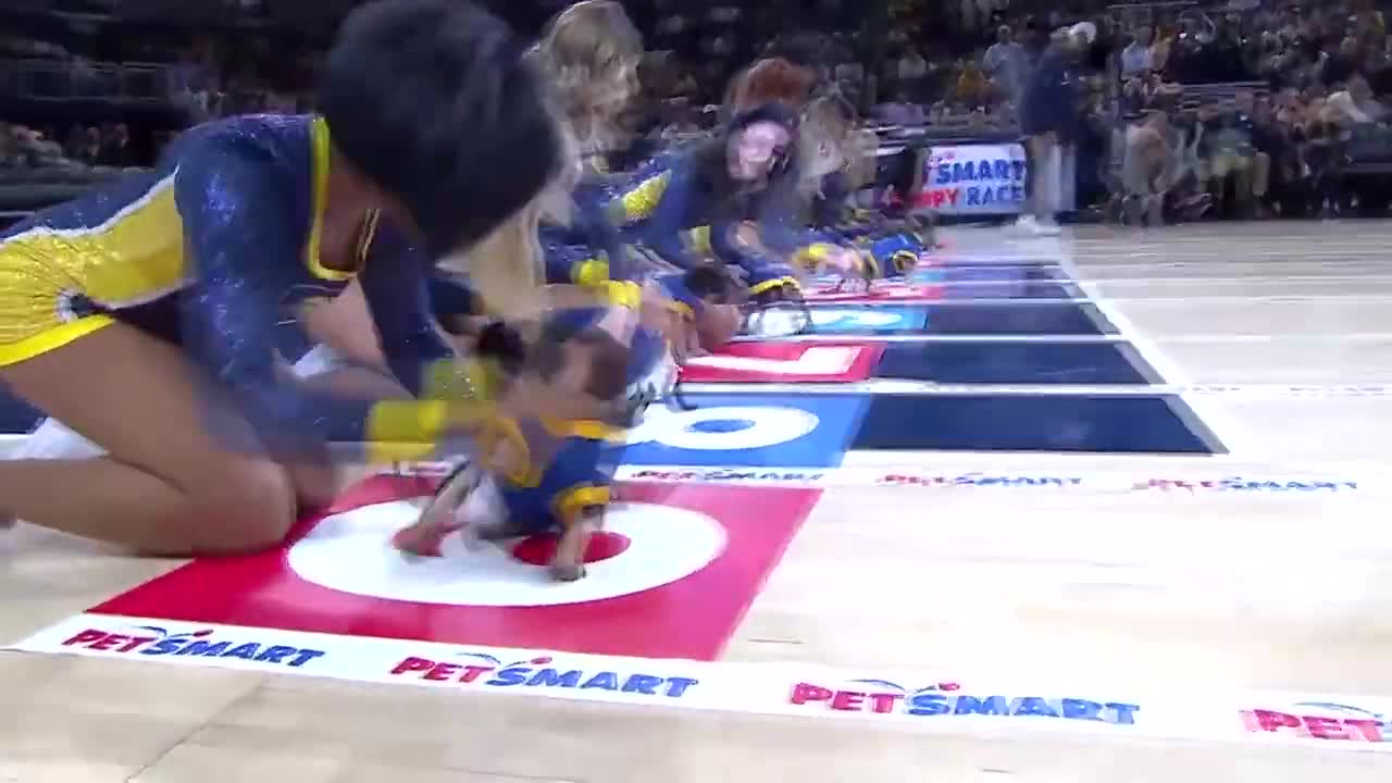 This puppy race didn’t go as planned 🤣 (via Pacers_TW)