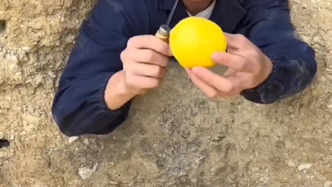 Big size lemon