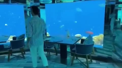 Now this takes some skills!