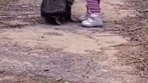 little boy playing with his favorite cat