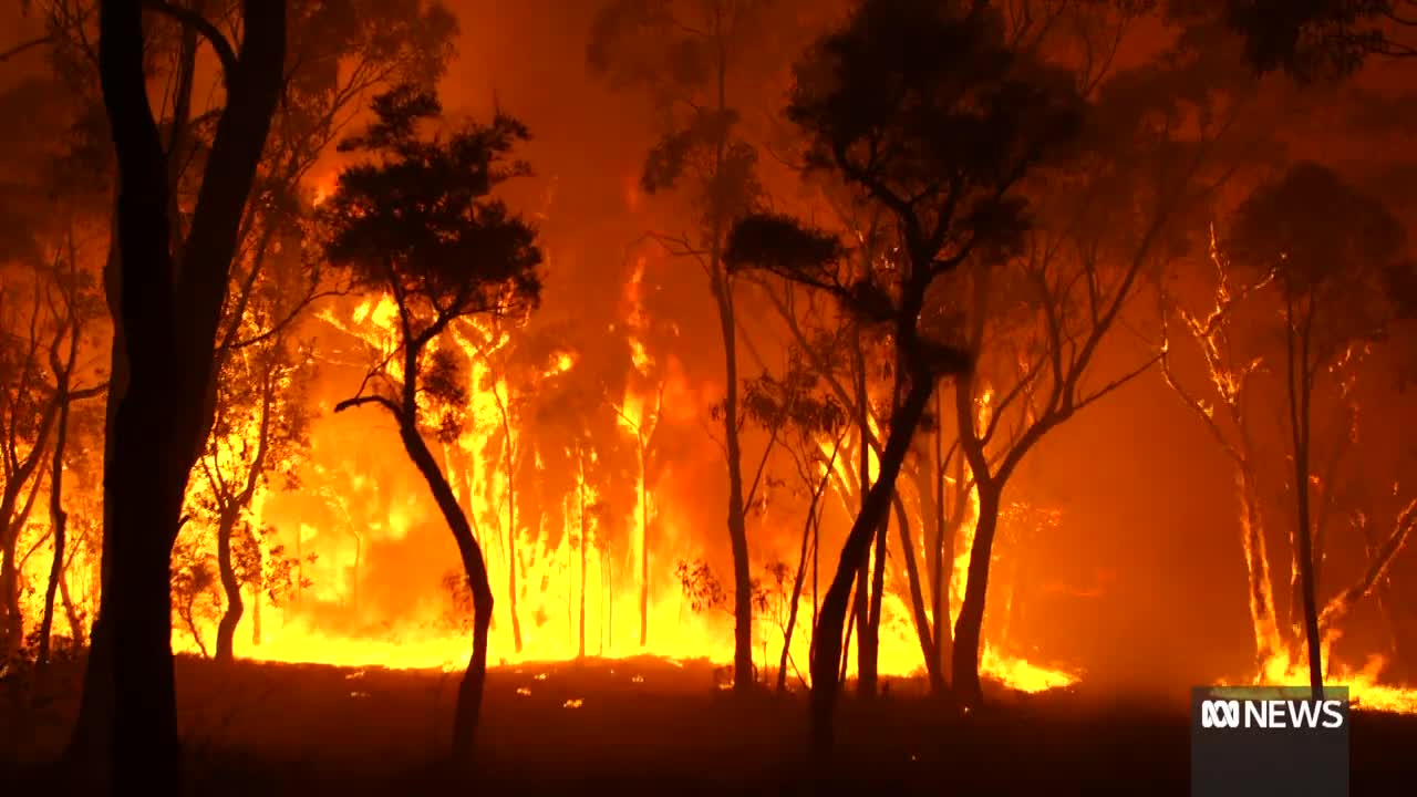 Australians urged to prepare bushfire plans ahead of summer ABC News