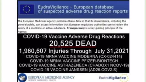 Program Trust Naomi documentary