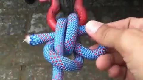 The best knot for a trailer