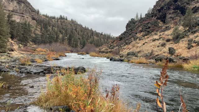 Central Oregon – Steelhead Falls – Shoreline Exploring of Crooked River – 4K