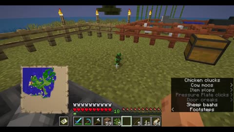 Minecraft Long Play #22