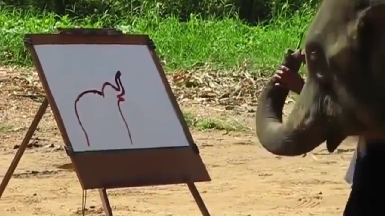 Trained Elephant drawing.