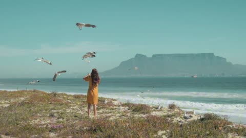 Beach View | Nature Relaxation