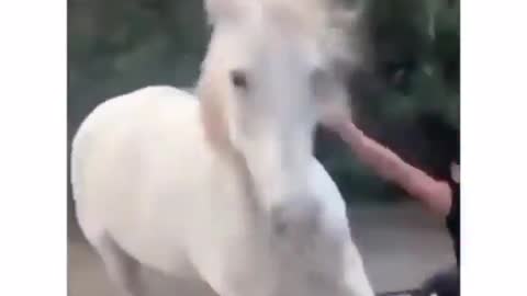 Food Time 🐎 Funny horse ride | viral tiktok video 2021