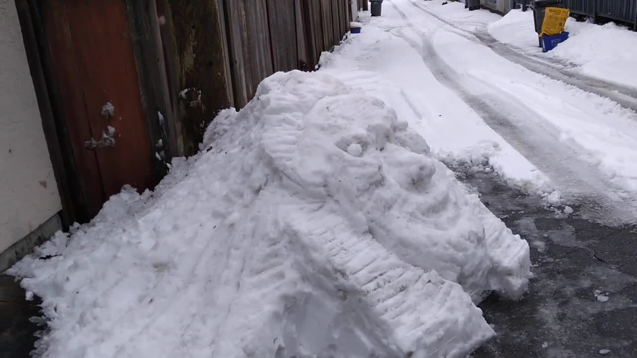 Snow Sculpture- Indigenous Mask