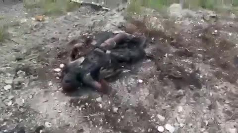 They didn't see that coming - all Ukrainian Soldiers got killed - strictly18+