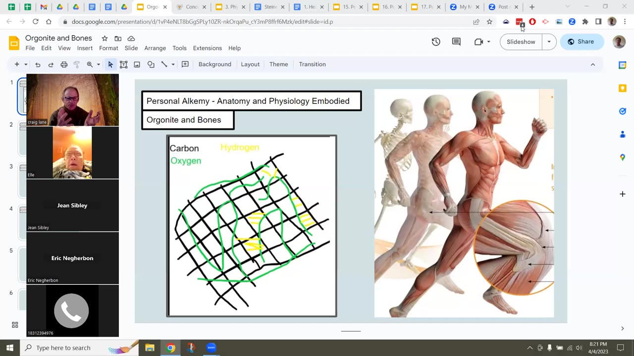 Health Alkemy's Natural Law April 4 2023 Navigating Transitions Through Our Bones