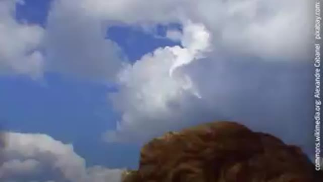 Interesting information on the fallen angels