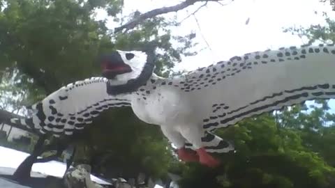 Linda escultura de uma coruja branca e preta no museu de ciências [Nature & Animals]