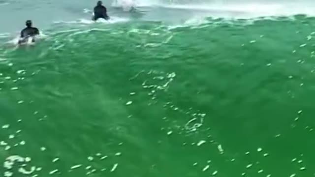 A lot of people are surfing in groups