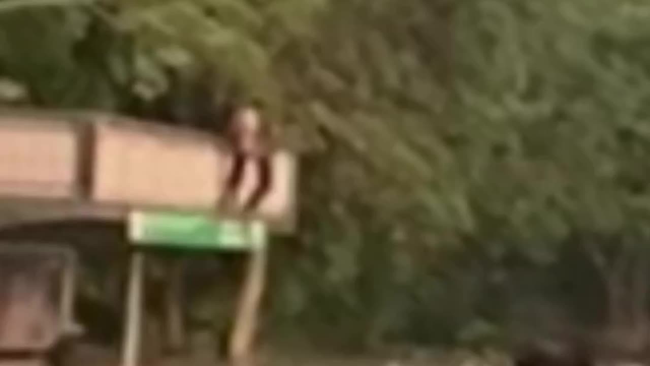 India dehli 🇮🇳 nowdays 🌧️🌪️