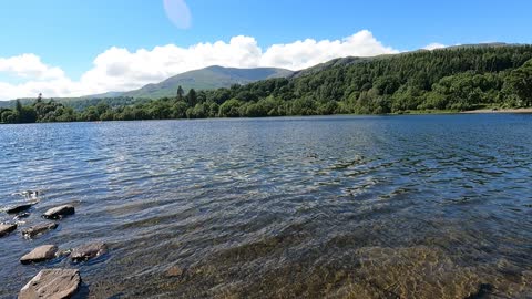 Lakeside on a sunny day