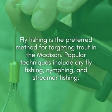 Montana Fly fishing in Madison River