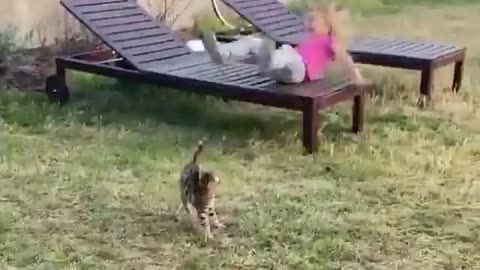 Funny cat