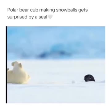 LOL Good morning! ❄️ It's like Dixon in his childhood 😁