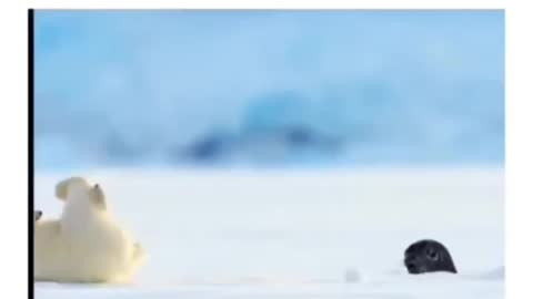 LOL Good morning! ❄️ It's like Dixon in his childhood 😁