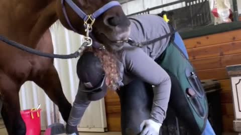 When those cinnamon cookies hit just right..🤣🤣 #horses #farrier #funny