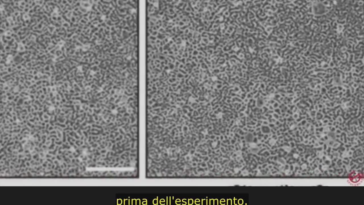 La fine della Teoria dei Germi