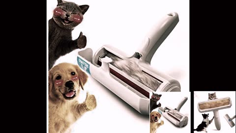 ChomChom Roller Pet Dog, Cat Hair Remover review 2024