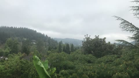 Cloudy Pacific Northwest Mornings
