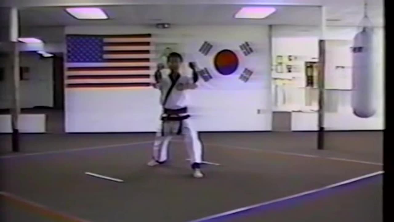 Taekwondo