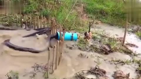 seconds of the big snake trapped